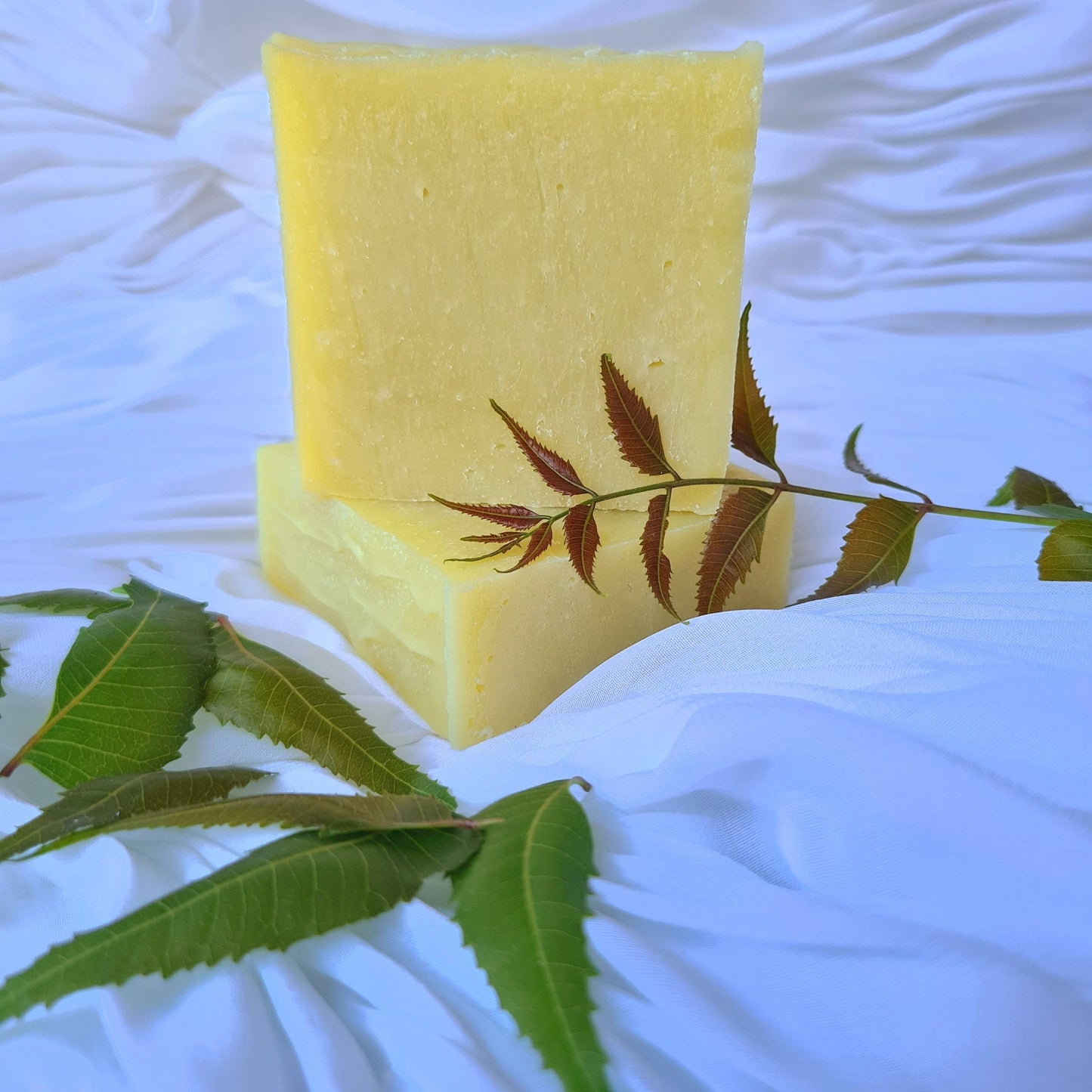 Neem Infused Tallow Soap